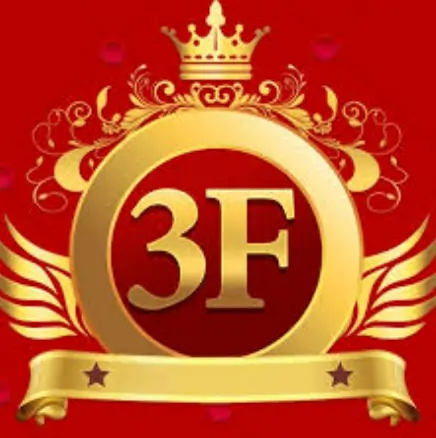 3f game logo